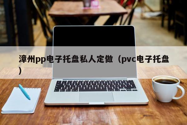 漳州pp电子托盘私人定做（pvc电子托盘）